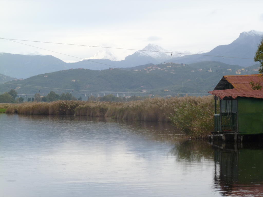 Le Ginestre B & B Massarosa Luaran gambar